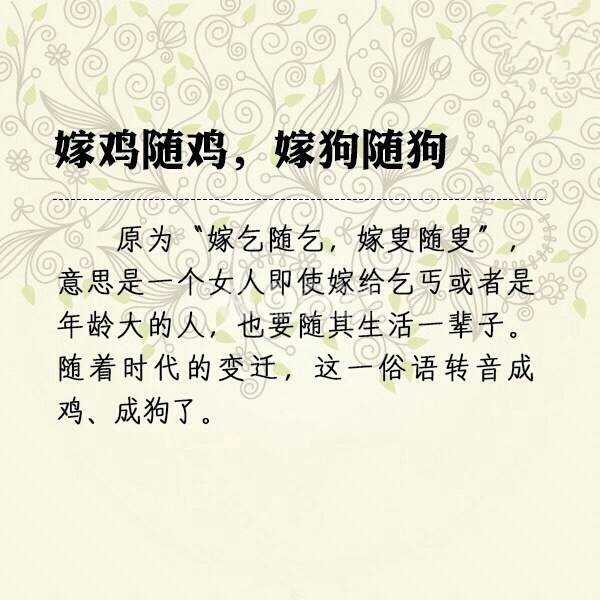 QQ图片20140831090026_副本111.jpg