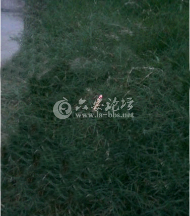 QQ截图20140824090638.png