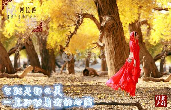 20140812115986598659_副本.jpg