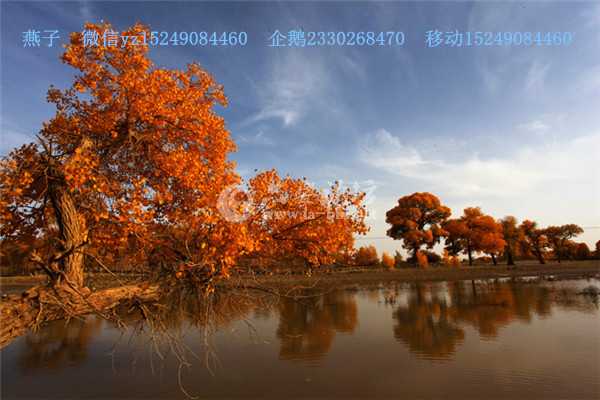 5fd993e2tb1c1ad9ea1f3&amp;690.jpg