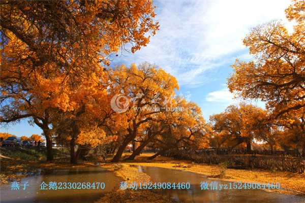 5fd993e2taf784976b9a9&amp;690_副本.jpg