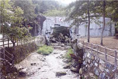 _MG_8253.jpg