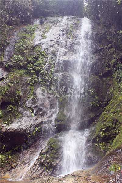 _MG_8263.jpg