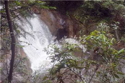 _MG_8296.jpg