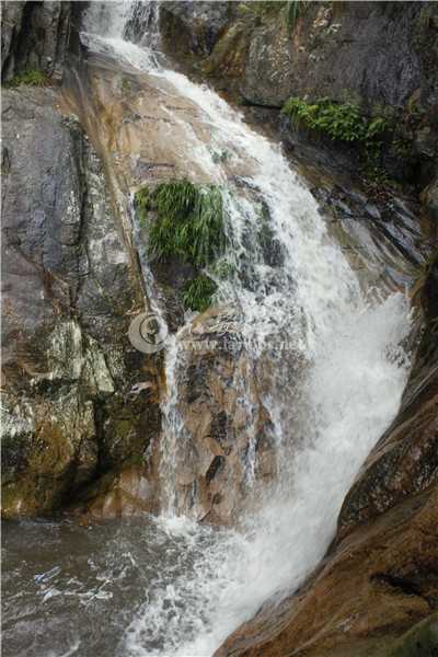 _MG_8336.jpg