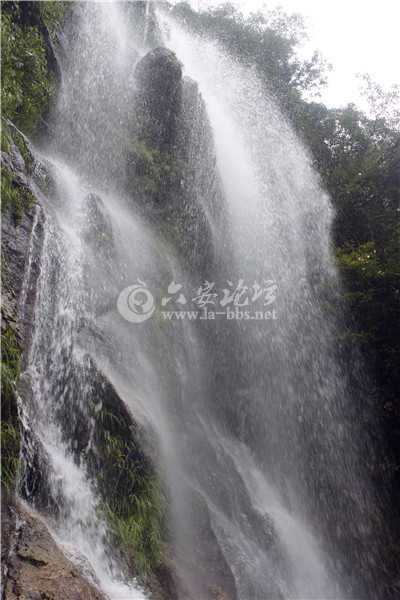 _MG_8384.jpg