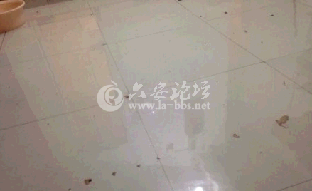 QQ截图20140909091853.png