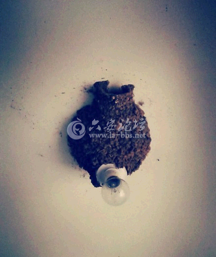 QQ截图20140912093908.png