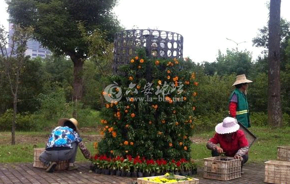 QQ截图20140916082520.png