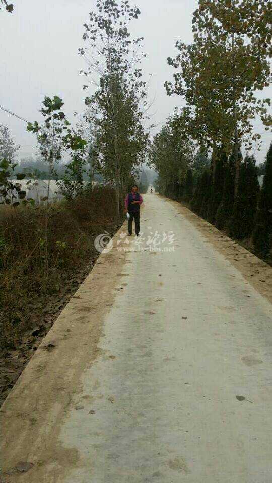 webwxgetmsgimg (1).jpg