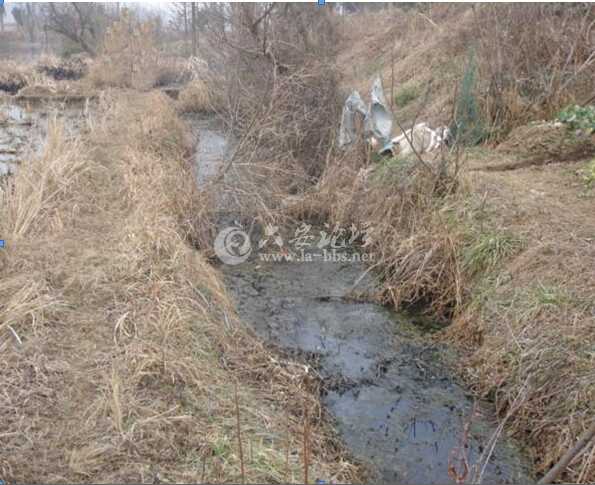 污水沟1.jpg