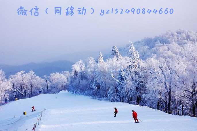 0142E0E08B010574FF80808142E07F59_副本.jpg