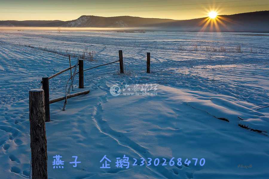31109617_31109617_1391931293613_mthumb_副本.jpg
