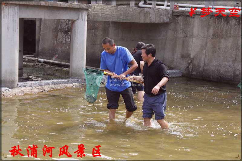抓鱼、捕鱼 (4).jpg