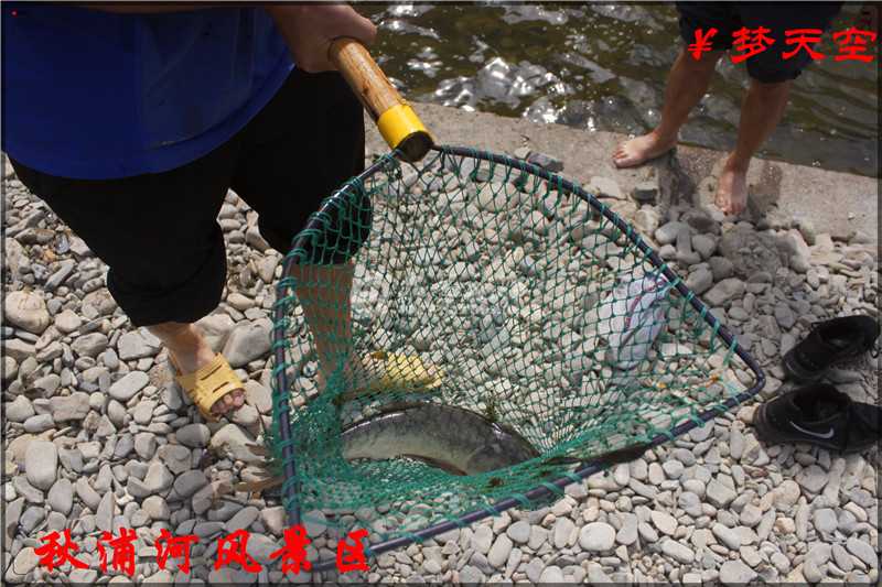 抓鱼、捕鱼 (5).jpg