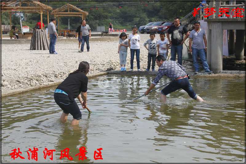 抓鱼、捕鱼.jpg