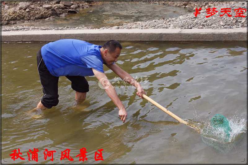 抓鱼、捕鱼 (2).jpg