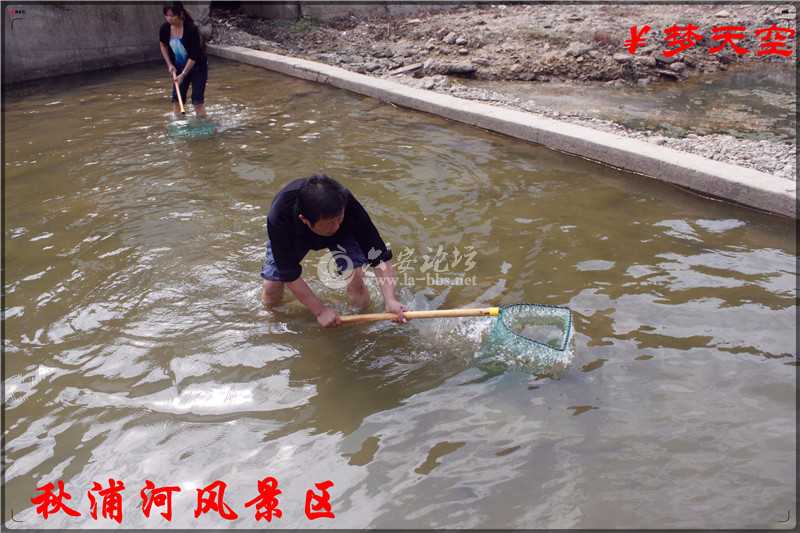 抓鱼、捕鱼 (3).jpg