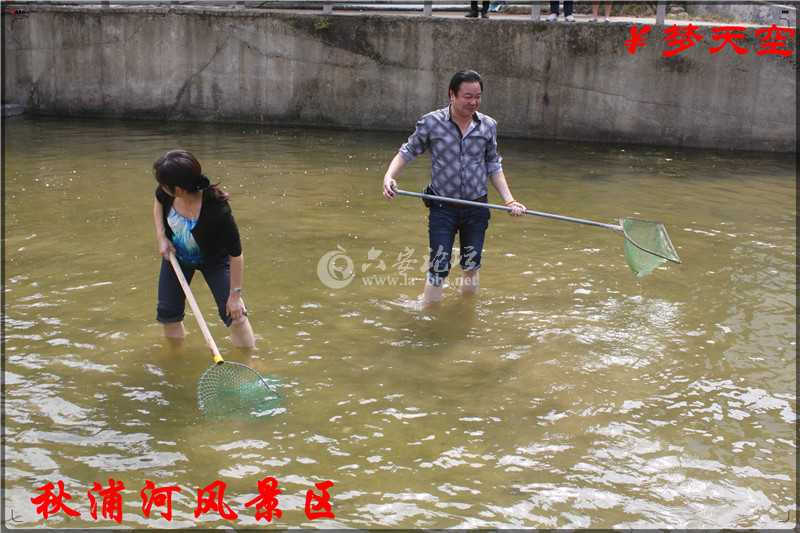 抓鱼、捕鱼 (1).jpg
