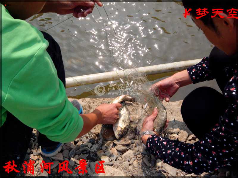抓鱼、捕鱼 (8).jpg