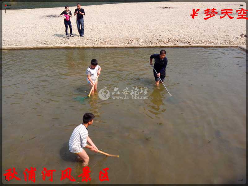 抓鱼、捕鱼 (6).jpg