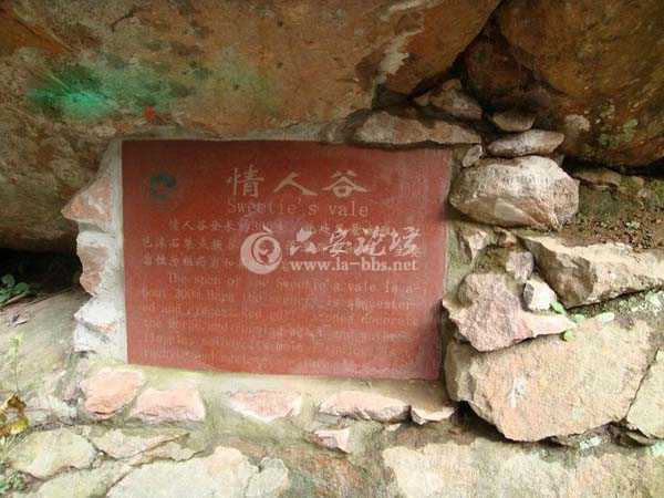 bd138275-5f68-46a5-942d-c8bb06e9161a.jpg