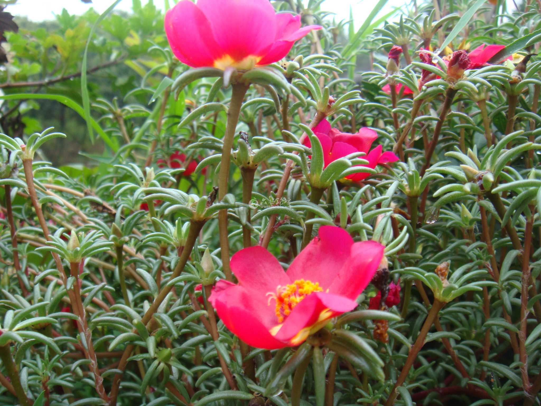 DSC00721.JPG