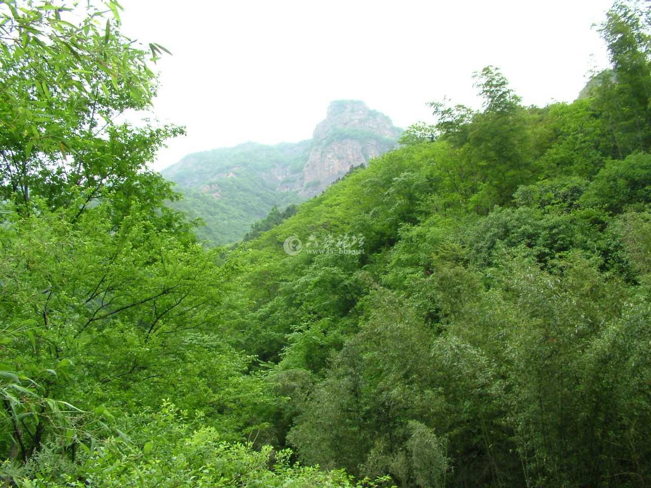 高山.jpg