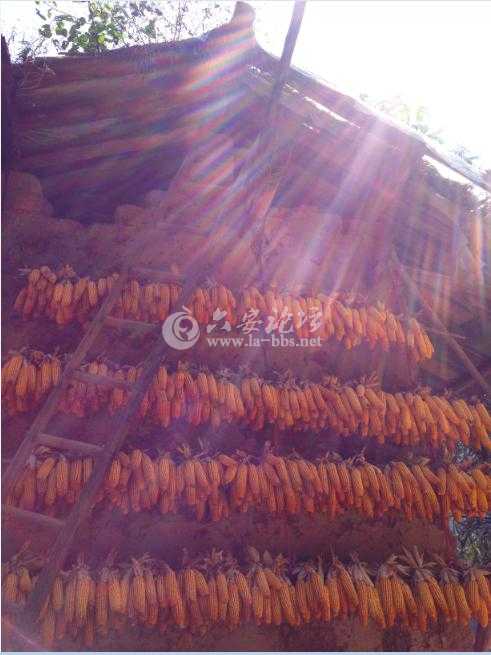 图片19.jpg