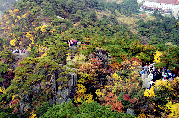 QQ截图20141010152008.png