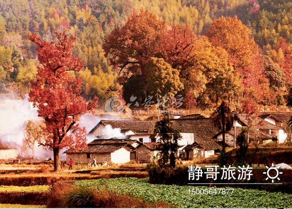 QQ截图20141011140811.png