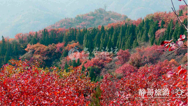 QQ截图20141011140817.png