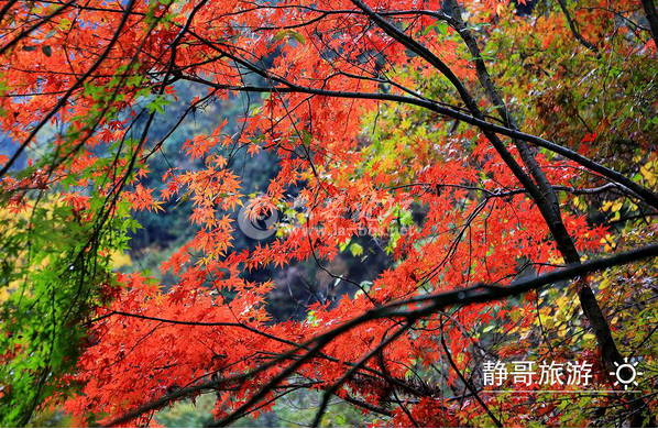 QQ截图20141011140842.png