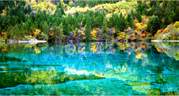 QQ截图20141011141321.png