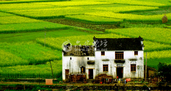 QQ截图20141013145428.png
