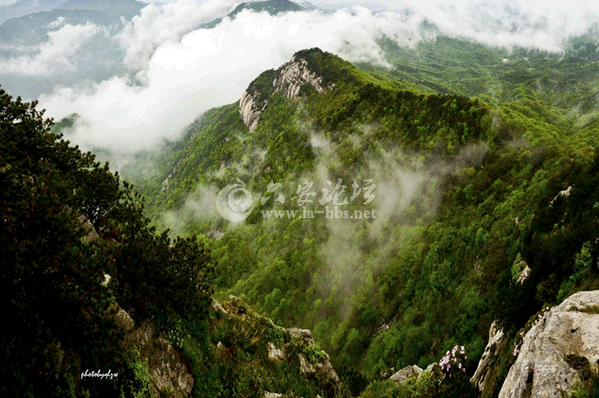 QQ截图20141014114609.png