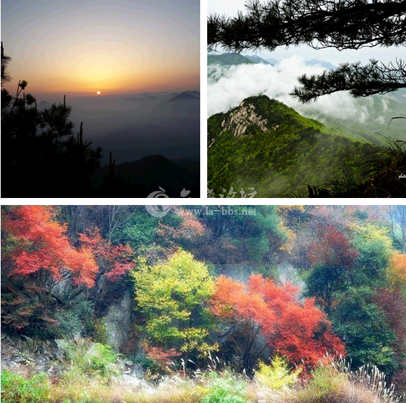 QQ截图20141014114636.png
