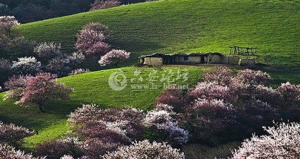 QQ截图20141016133804.png