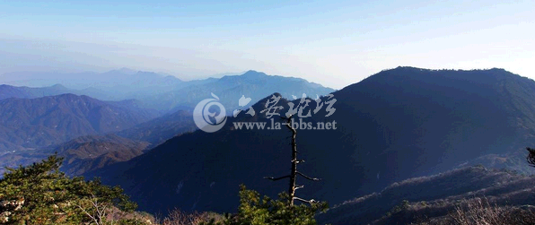 QQ截图20141016134503.png