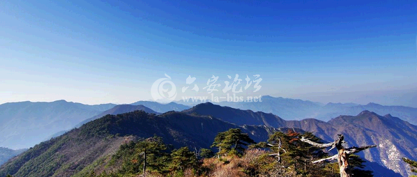 QQ截图20141016134510.png