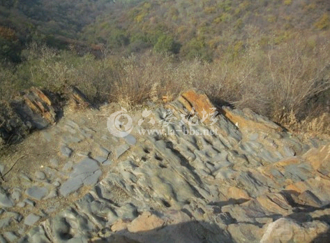 QQ截图20141016135246.png