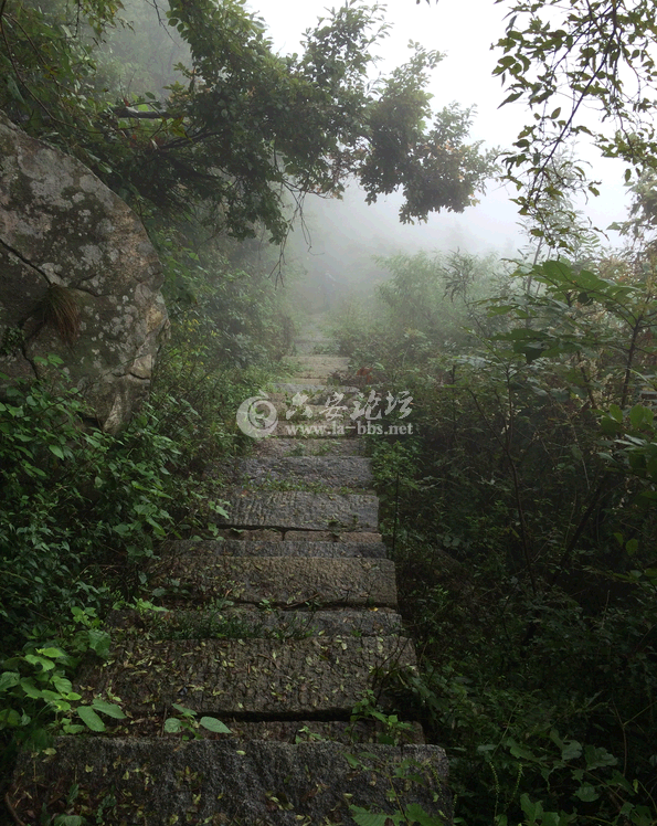 QQ截图20141017145727.png