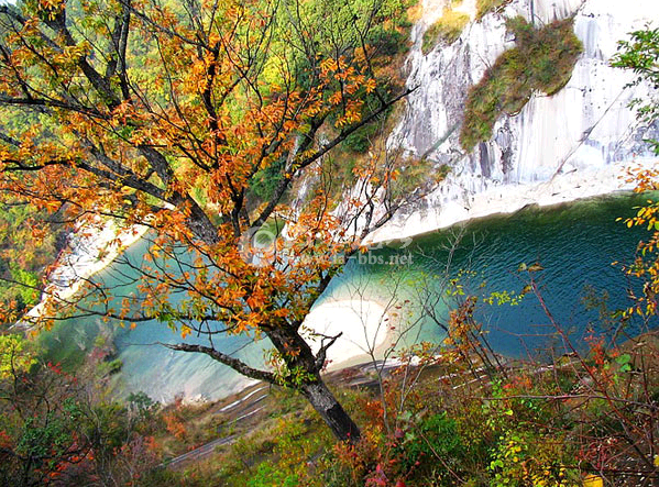 QQ截图20141018101750.png