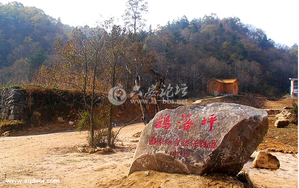 QQ截图20141018101758.png