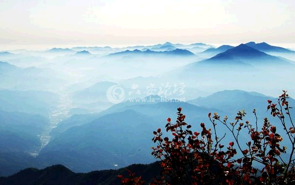 QQ截图20141018101805.png