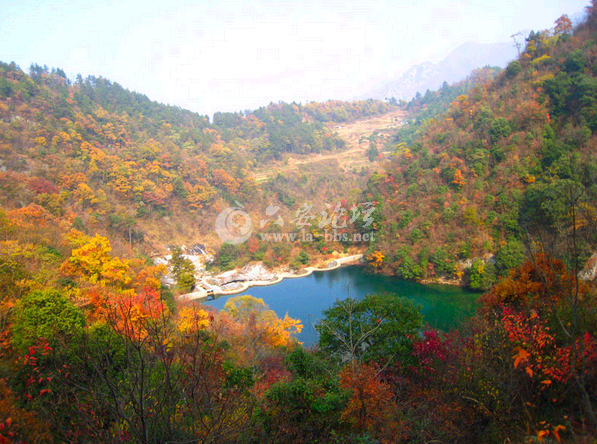QQ截图20141018101816.png