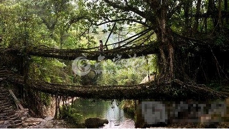 QQ截图20141019113557.png