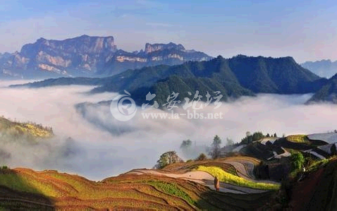 QQ截图20141019113935.png