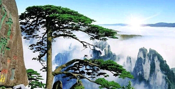 QQ截图20141019114051.png