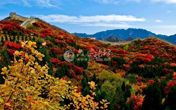 QQ截图20141019114151.png